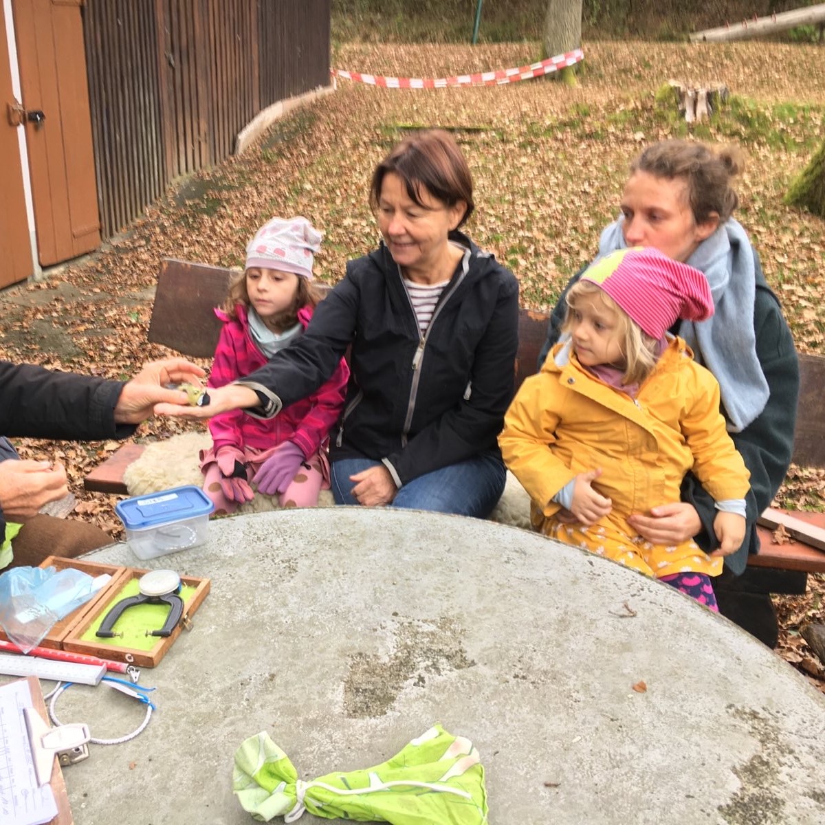 Netzfänge zur Beringung